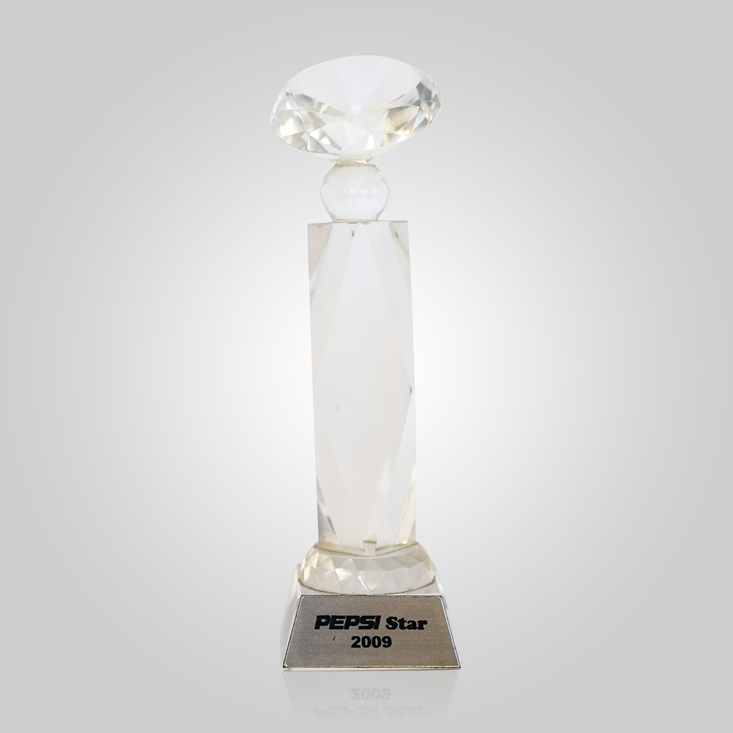PepsiCo’s Star Award – 2009